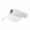 4031 RICHARDSON R160 VISOR BEAST-2025-2