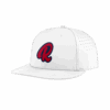 4910 R_P FLEX FIT CAP PTS30 RENEGADES-1