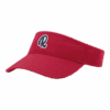 4910 RICHARDSON R160 VISOR RENEGADES-2