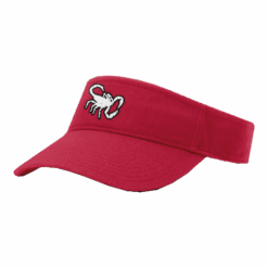 3296 RICHARDSON R160 VISOR OHIO-STING-2