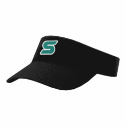 3301 RICHARDSON R160 VISOR SMASH-FP-2025-1