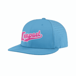 4909 R_P FLEX FIT CAP PTS30 VFP-IMPACT-ADDS