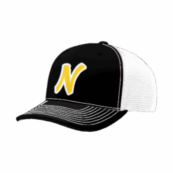 4884 R_P FLEX FIT CAP 172 NOTORIOUS-1