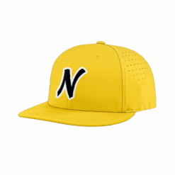 4884 R_P FLEX FIT CAP PTS30 NOTORIOUS-1