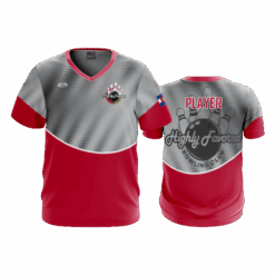 4923 MENS SPORT V NECK HIGHLY-FAVORED-2