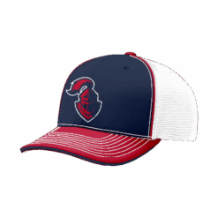4924 R_P FLEX FIT CAP 172 KNIGHT-RIDERS