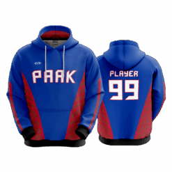 4925 UNISEX FLEECE HOODY WHEELING-PARK-PATRIOTS