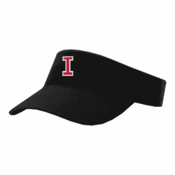 4940 RICHARDSON R160 VISOR INTENSITY-FP-2