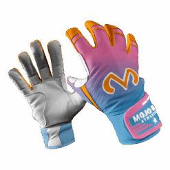 4795 BSBG Double Dip