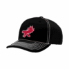 4949 R_P FLEX FIT CAP 172 STEELHAWKS-1