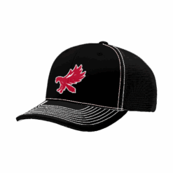 4949 R_P FLEX FIT CAP 172 STEELHAWKS-1