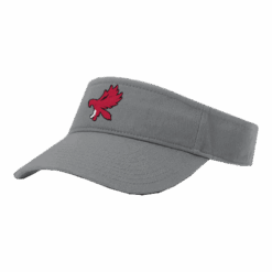 4950 RICHARDSON R160 VISOR STEELHAWKS-2