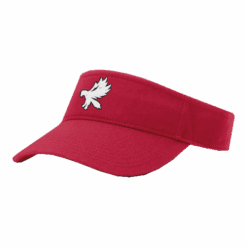 4950 RICHARDSON R160 VISOR STEELHAWKS-3