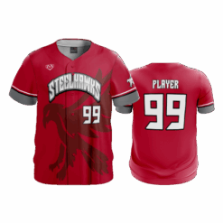 4949 MENS FULL BUTTON DOWN STEELHAWKS-3