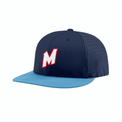 4948 R_P FLEX FIT CAP PTS30 LAB-MONKEYS-25-1