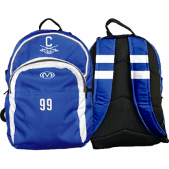 2530 ALL SPORTS BACK SACK