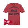4955 DISTRICT UNISEX T-SHIRT INTENSITY-FP-FR