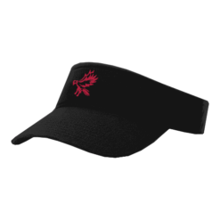 VISOR R160 LADY-STEELHAWKS-1