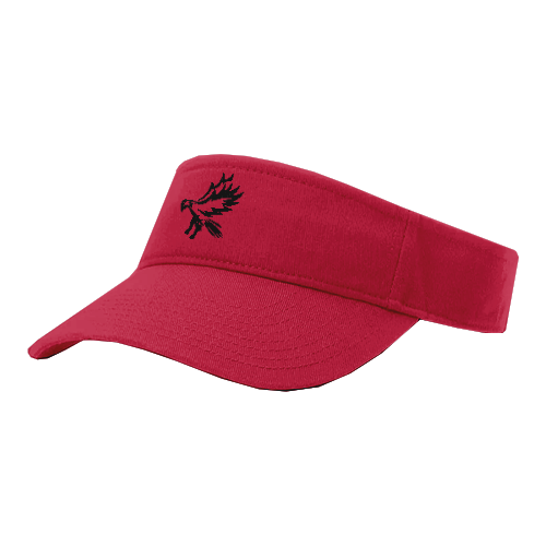 VISOR R160 LADY-STEELHAWKS-2
