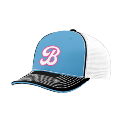 FLEX FIT CAP 172 BEAST-BASEBALL-1