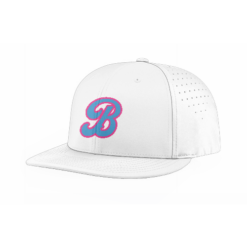 FLEX FIT CAP PTS30 BEAST-BASEBALL-1