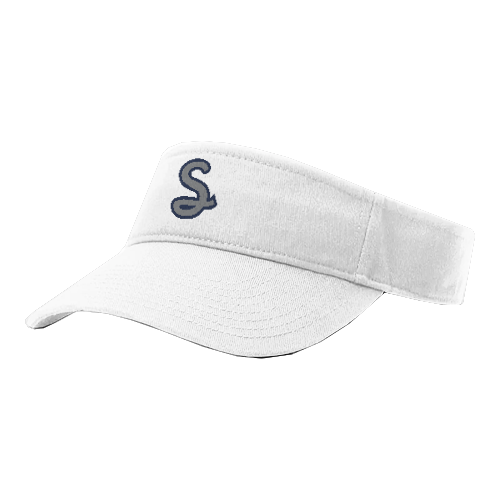 VISOR R160 STINGRAYS-1