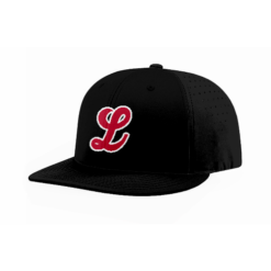 FLEX FIT CAP PTS30 LONDONDERRY-FIX-1