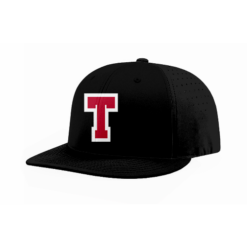 FLEX FIT CAP PTS30 TACO-1