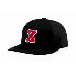 FLEX FIT CAP PTS30 SECTION-8-1