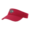 VISOR R160 WESTFALL-2