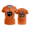 WOMENS V-NECK CENTRAL-OHIO-TIGERS-1