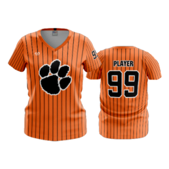 WOMENS V-NECK CENTRAL-OHIO-TIGERS-1