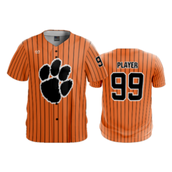 MENS HEAVYWEIGHT FULL BUTTON DOWN CENTRAL-OHIO-TIGERS-1