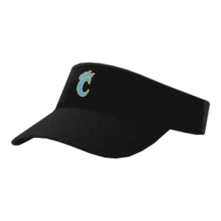 VISOR R160 COUGARS-1