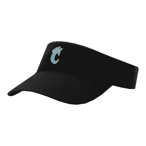 VISOR R160 COUGARS-1