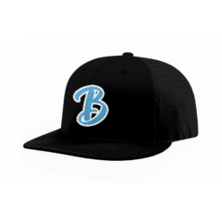 FLEX FIT CAP PTS30 THE-BLVD-1