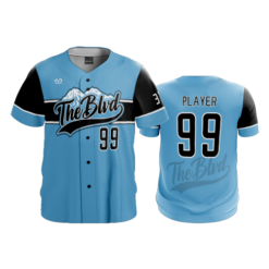 MENS HEAVYWEIGHT FULL BUTTON DOWN THE-BLVD-2