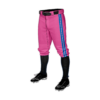 MENS BASEBALL KNICKER PANT SWAMP-DONKEYS-2026-2