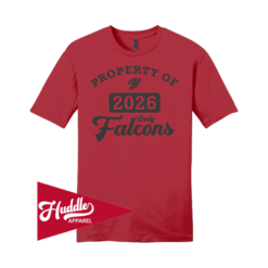 DISTRICT UNISEX T-SHIRT FAIRFIELD-FALCONS