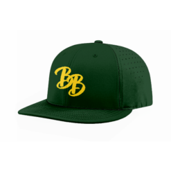 FLEX FIT CAP PTS30 BEER-BUDDIES-1