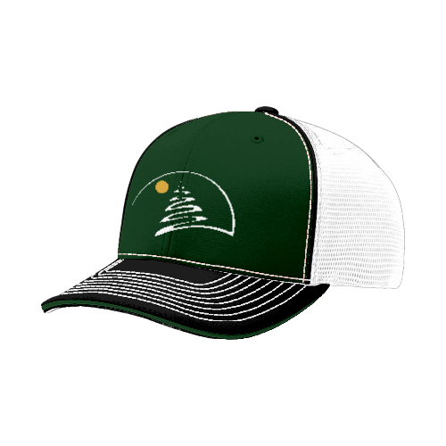 FLEX FIT CAP 172 VERMONT-PROPERTIES-1