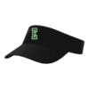 VISOR R160 EASTERN-EAGLES-2