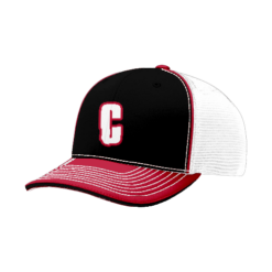 FLEX FIT CAP 172 CANNIBALS-1