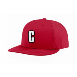 FLEX FIT CAP PTS30 CANNIBALS-1