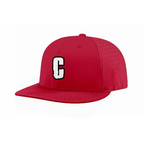 FLEX FIT CAP PTS30 CANNIBALS-1