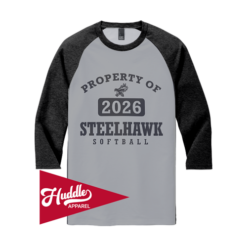 DISTRICT ¾ RAGLAN SLEEVE STEELHAWKS-FP-FR