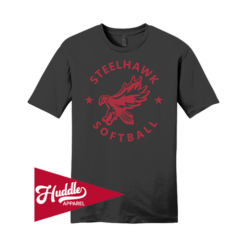 DISTRICT UNISEX T-SHIRT STEELHAWKS-FP-FR