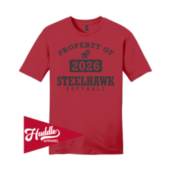 DISTRICT UNISEX T-SHIRT STEELHAWKS-FP-FR