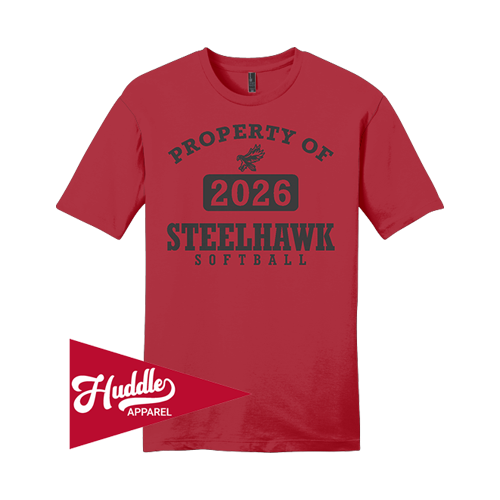DISTRICT UNISEX T-SHIRT STEELHAWKS-FP-FR