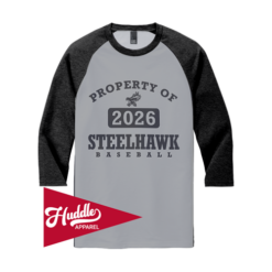 DISTRICT ¾ RAGLAN SLEEVE STEELHAWKS-FR